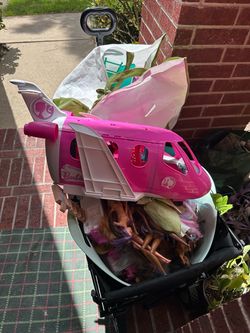 Barbies and Barbie accessories