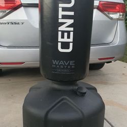 Wavemaster Punching/kicking Bag 