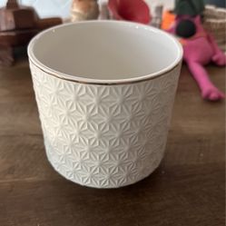 Plant Vase 