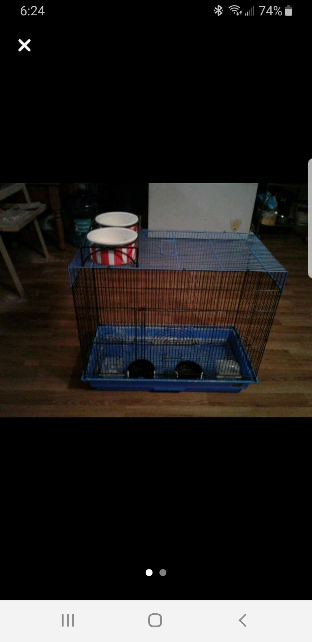Bird cage and dog bowl