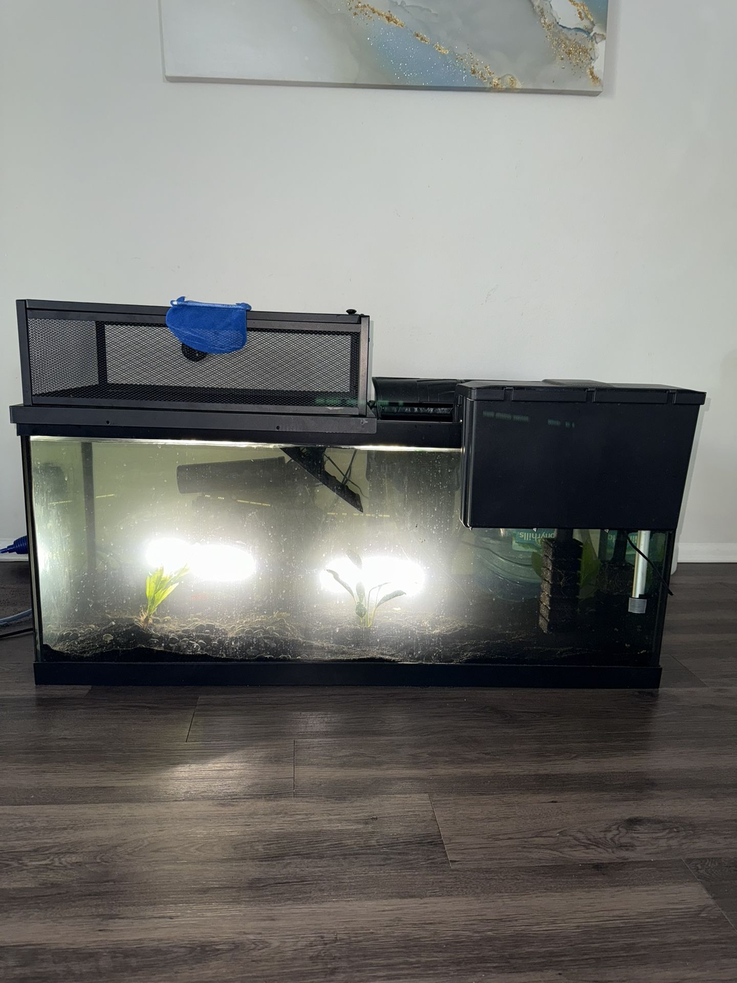 🐢 Full 75-Gallon Turtle Tank Setup – Everything Included – $450 OBO