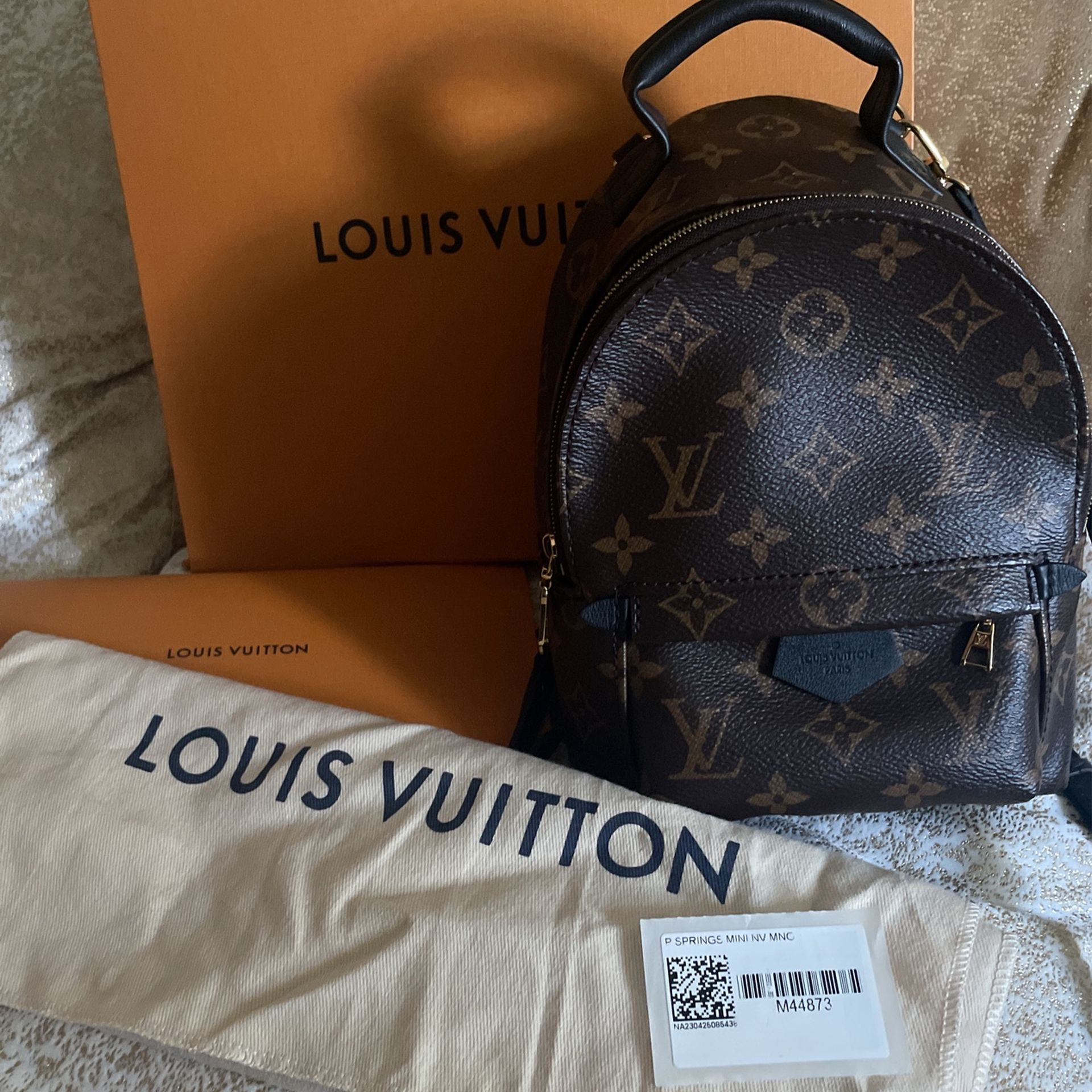 Louis Vuitton Palm Spring Mini Backpack Monogram Canvas