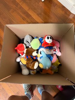 Random box of plush toys