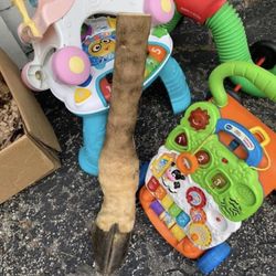 Taxidermy Giraffe Leg!! $250!!