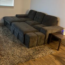 Couch W/Sofa Chase Pull Out W/storage