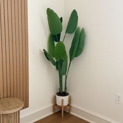 Artificial Bird Of Paradise Plant Faux-Strelitzia Tree for Indoor & Outdoor Decor 5.2ft Home, Office