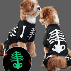 Halloween Neon Skeleton Costume 