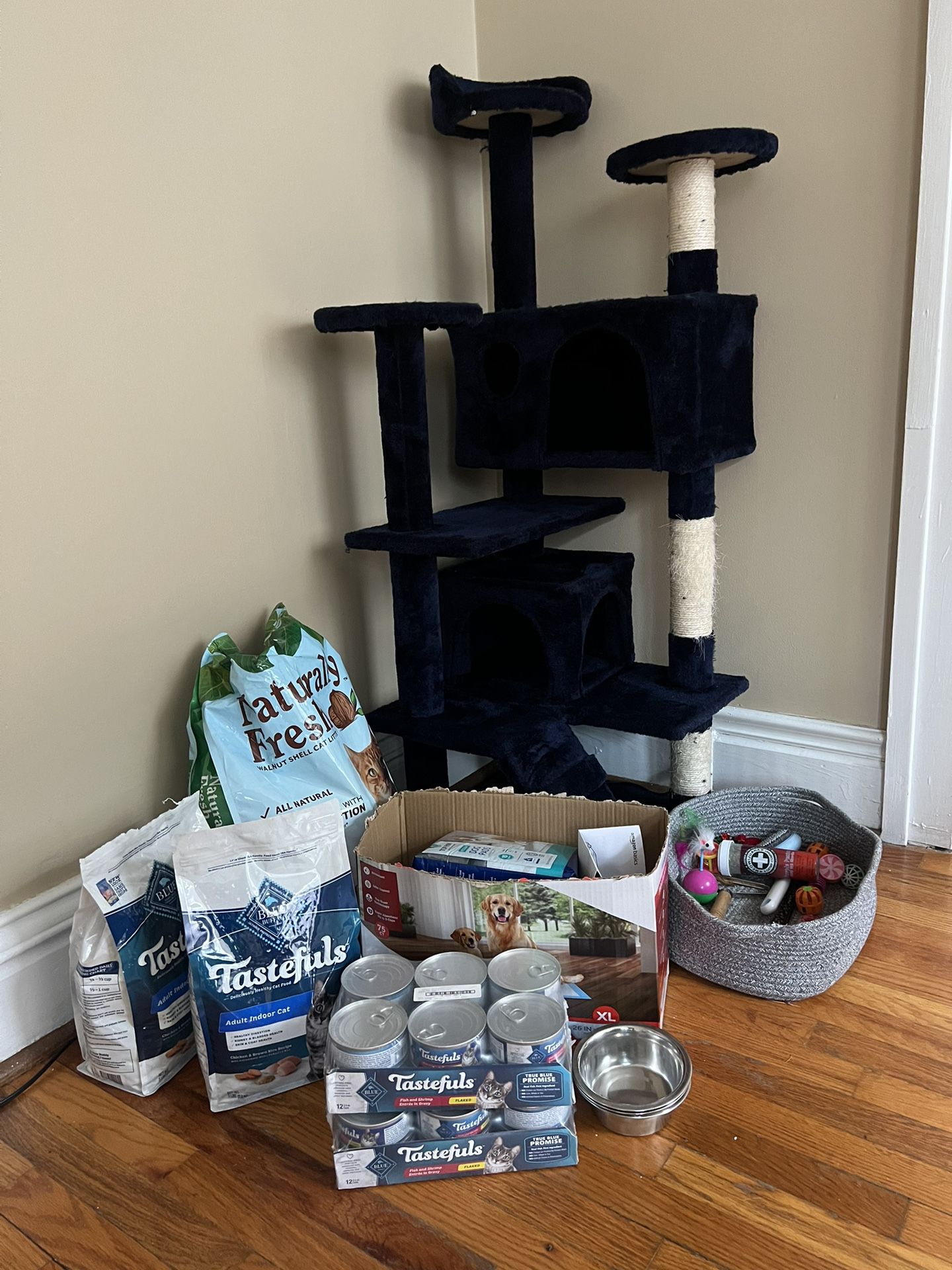 Cat Supplies - Food, Toys, Trees And More! 