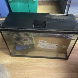 40 Gallon Fish Tank Plus Supplies