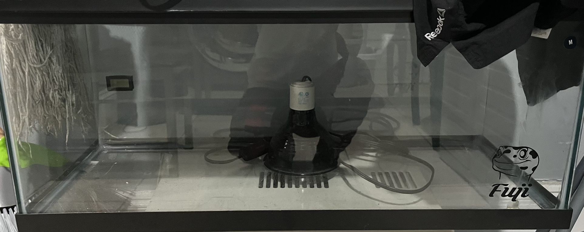 lizard cage