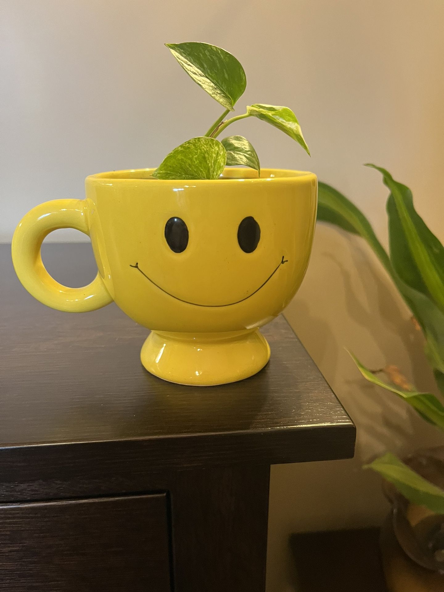 Vintage Smile Smiley Face Mug  Large Happy Emoji Planter With Pothos Plant