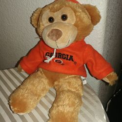 Georgia Teddy Bear