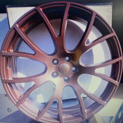 20x10 RINES 