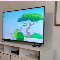 55 In Roku Smart TV 