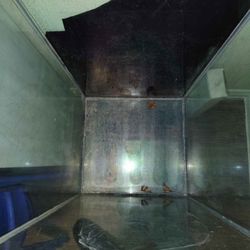 50 + Gallon Fish Aquarium $75