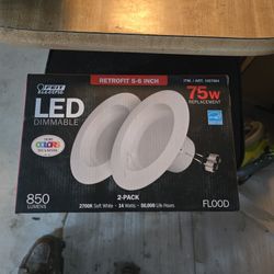 LED 75w Dimmable 2pack
