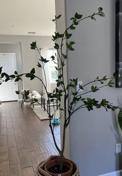 5’ citrus tree -artificial 