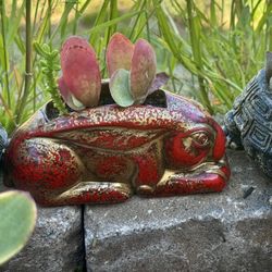 Red Rabbit Planter W Succulents 🪴 Plant Included 