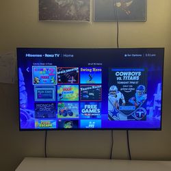Roku smart TV 49 inch