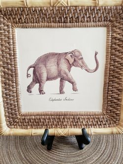 Elephant And Tiger Designer Plates With Stands