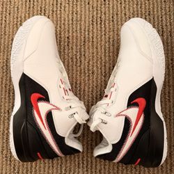 Nike Zoom LeBron NXXT Gen AMPD Size 11
