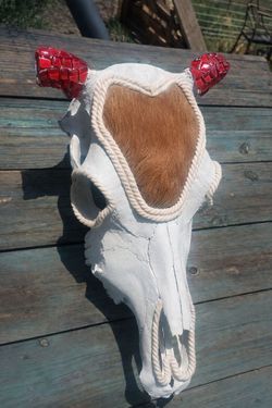 Decorative cow skull