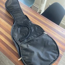 Electric Guitar Gig Bag $20.  
