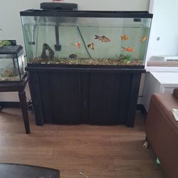 Aquarium 