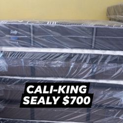 Cali-King Regular Mattress Set 