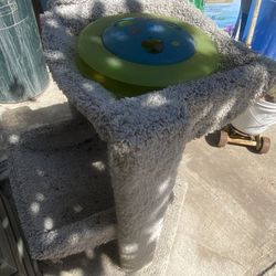 Cat Tree And Toy Free