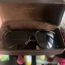 Coach Sunglasses