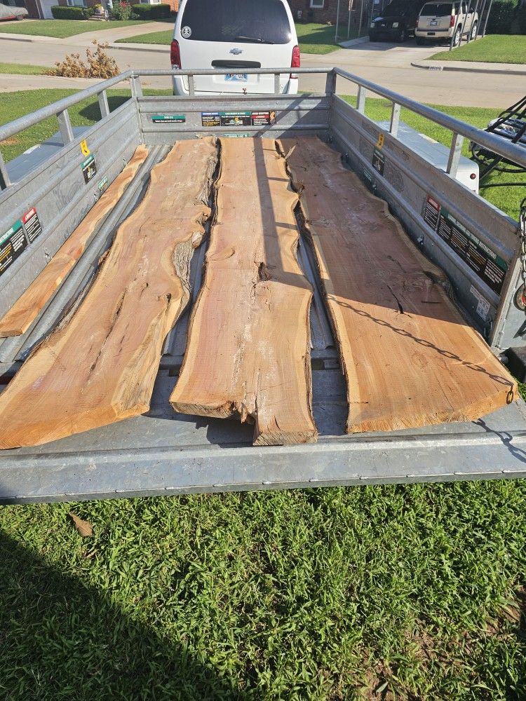 Cedar Slabs, Wood, Boards, Live Edge