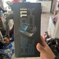 GoPro Hero 11 Costco Bundle 