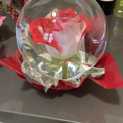 Rose Globes(Roses Inside Last 4 Months)