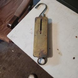 Hanging Scale John Chatillon&sons Makers New York Usa Cap 50 Lbs Type 100