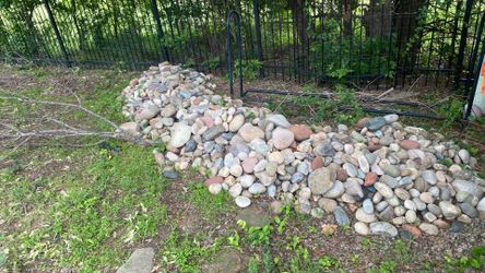 Free Rocks