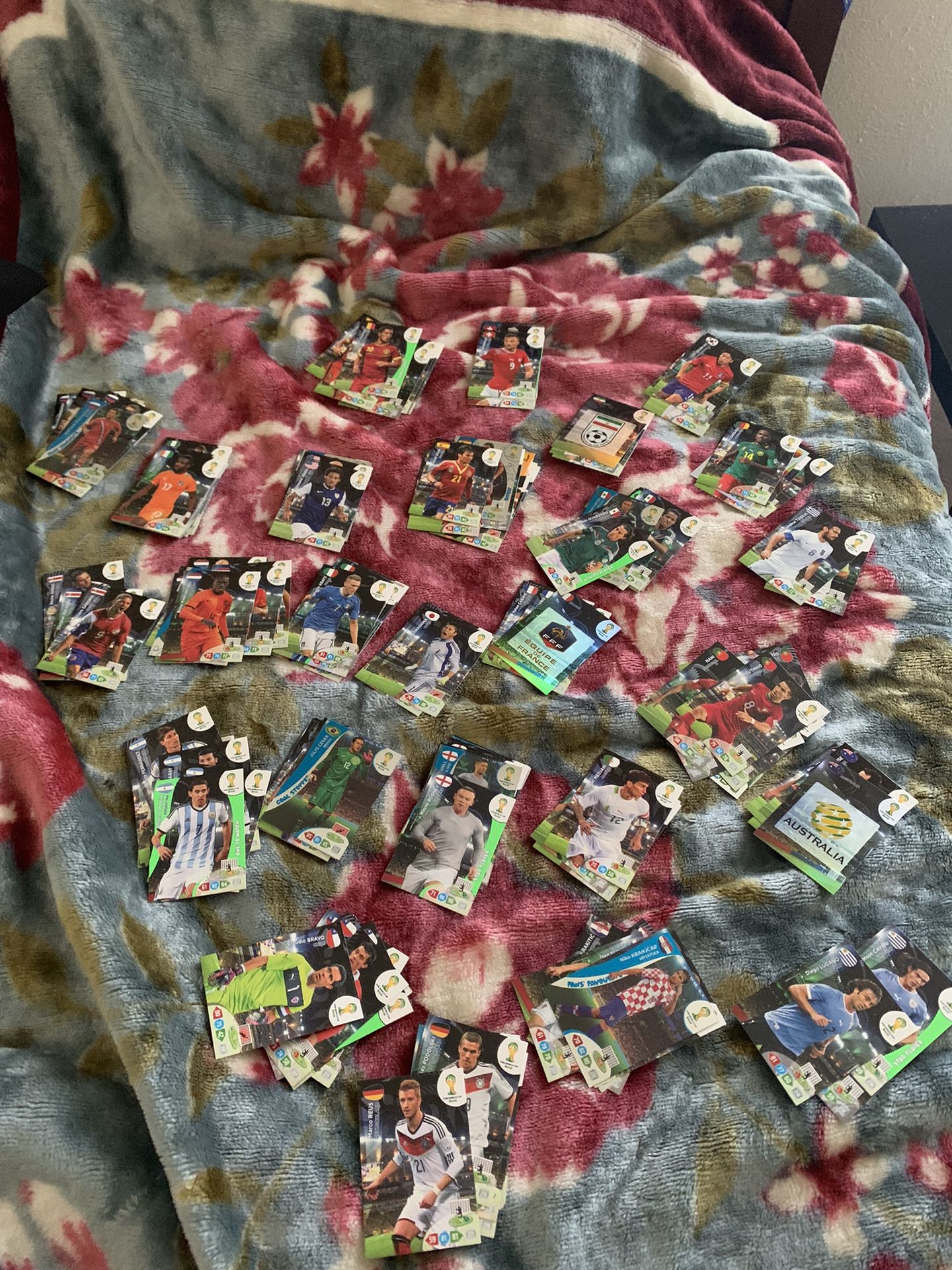 2014 Panini World Cup Card Lot