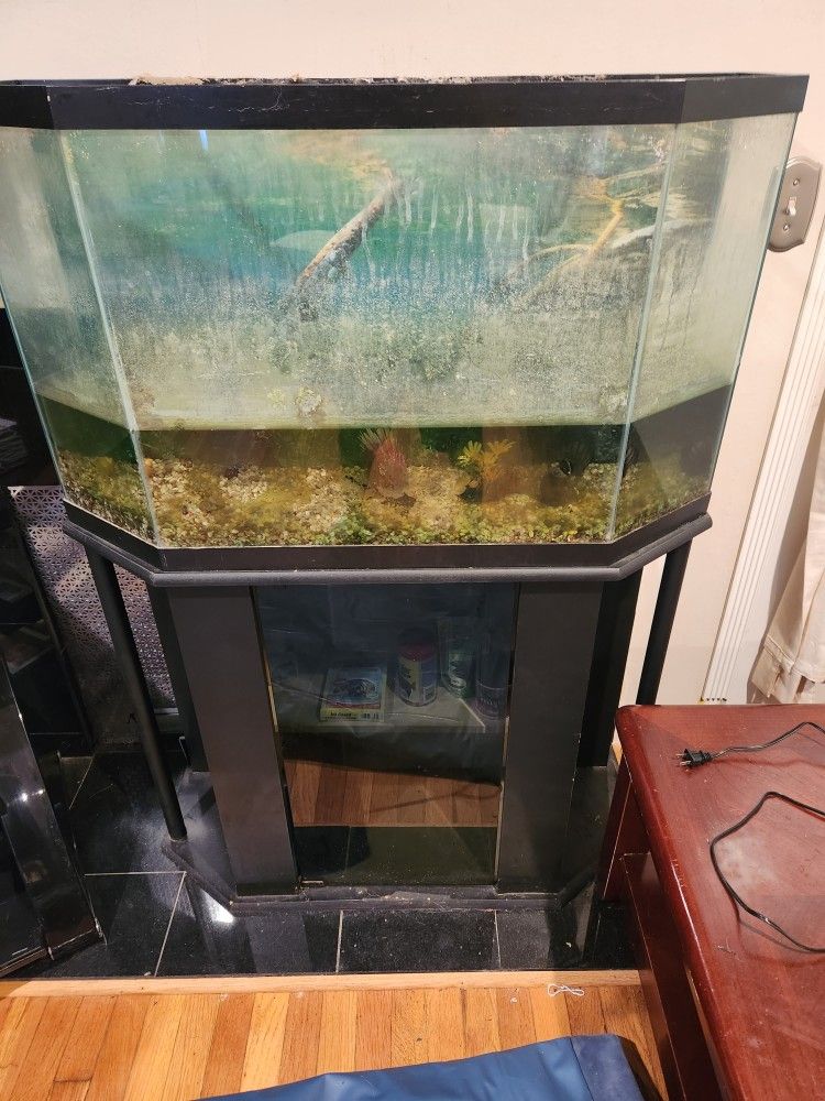 40 Gallon Hex Shape Tank With Stand And Storage