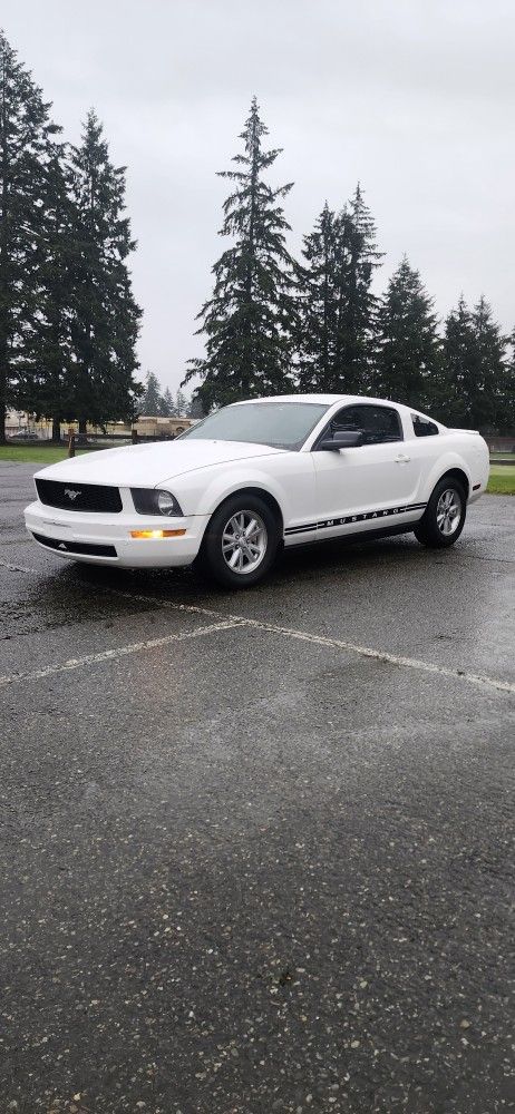 2008 Ford Mustang