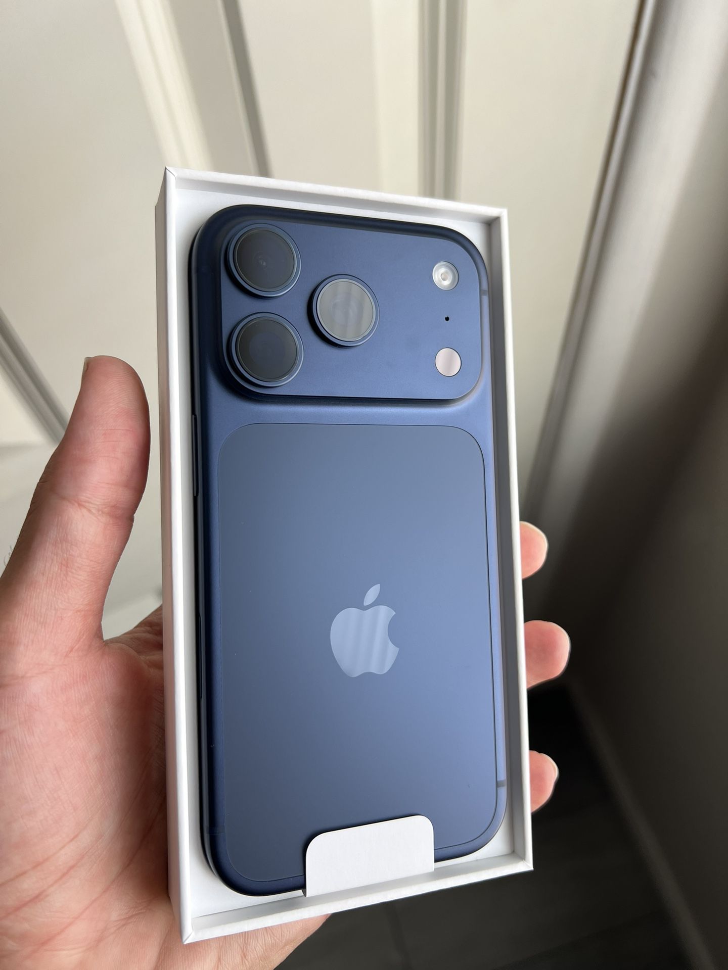 iPhone 17 Pro 
