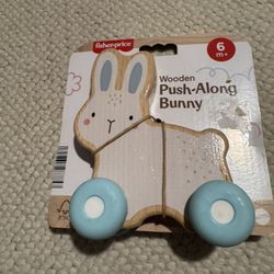 Baby Push Along Wooden Toy  Bunny 