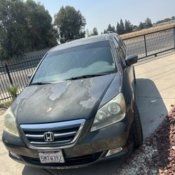 Honda Odyssey 2005