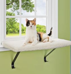 EveryYay Higher Ground Memory Foam Cat Perch, 1.5" H