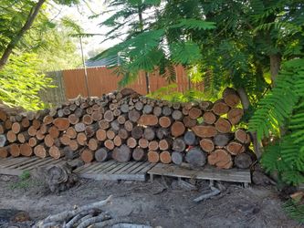 Mesquite,oak and Pecan