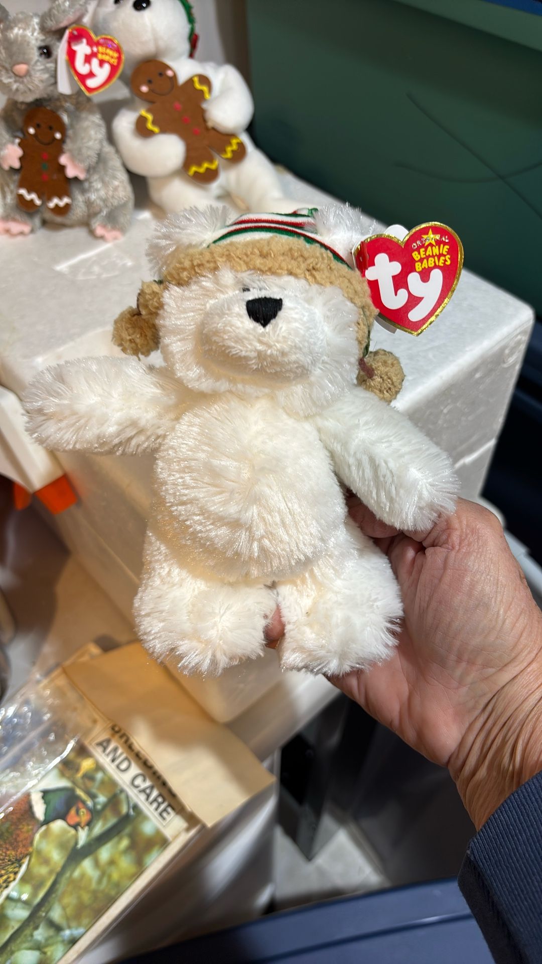 Beanie Baby Chillingly