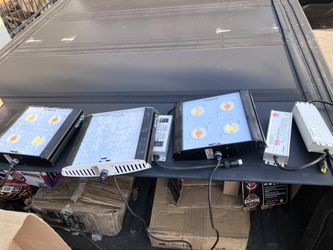 Lights For Growing Plants 