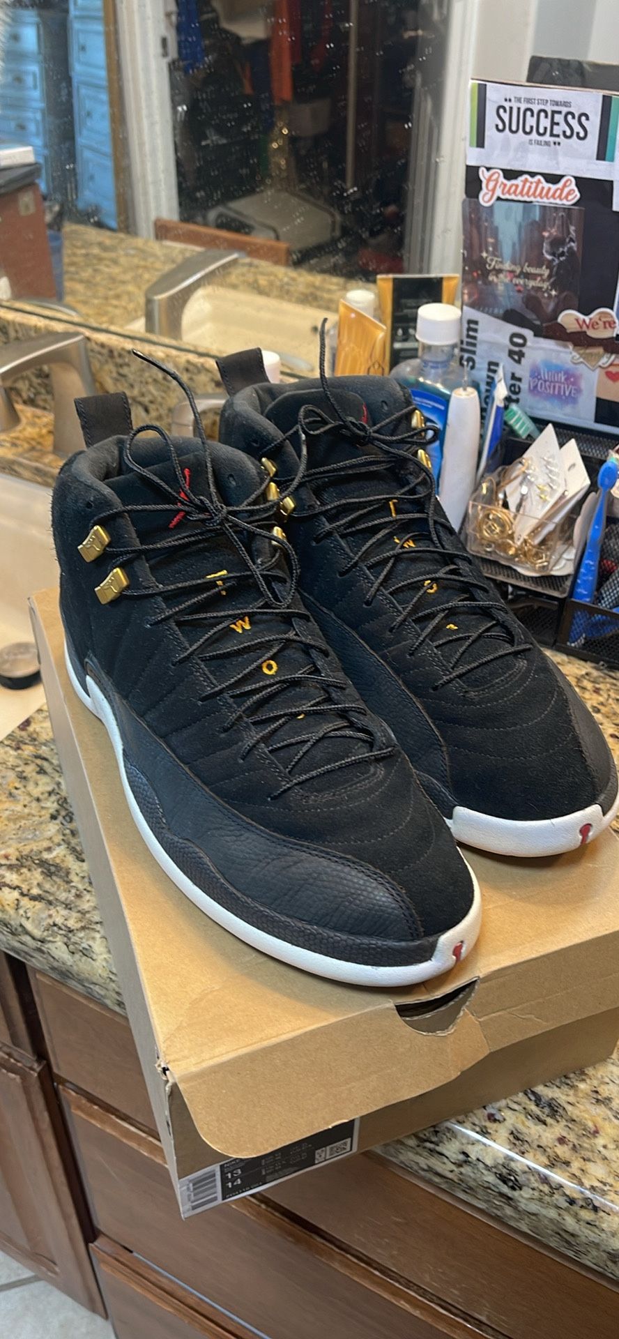 Jordan Retro 12