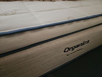 Queen Latex Matress 15 In Organic