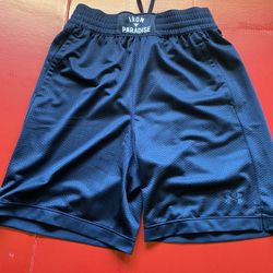 Under Armour Project Rock Black Mesh Shorts Iron Paradise