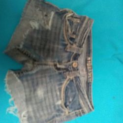 HYDRAULIC short for young woman/ short para mujer joven size 14-16